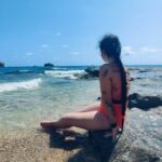 seasalt swimwear