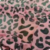 pink leo