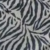 sandy zebra