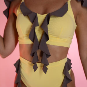 exotic dance costume